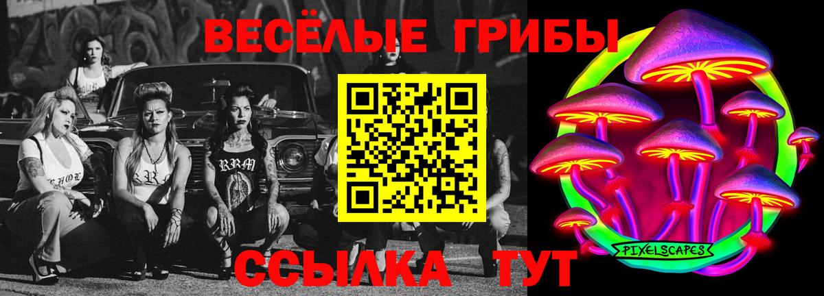 Псилоцибиновые грибы Psilocybine cubensis Осинники