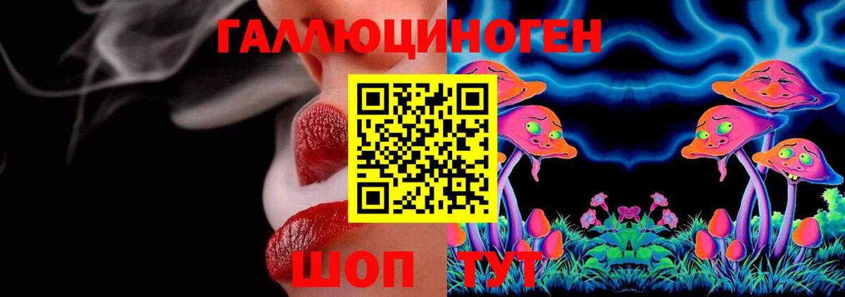 Псилоцибиновые грибы MAGIC MUSHROOMS  Псилоцибиновые грибы Cubensis  Вход с VPN  Осинники 
